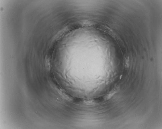 X0000071380666200607142112