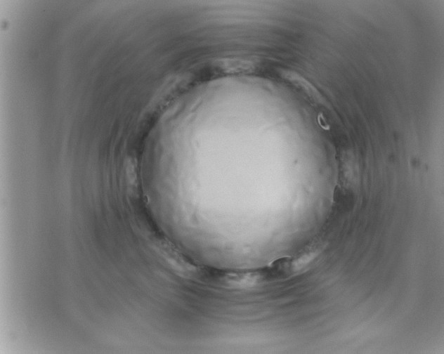 X0000071380667200607142112