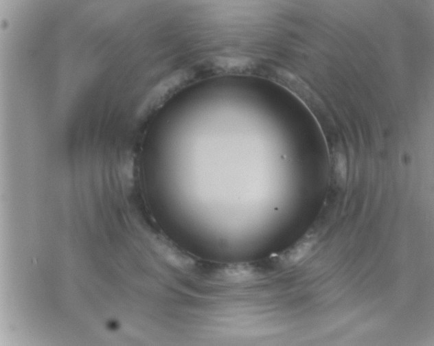 X0000071380668200607142112