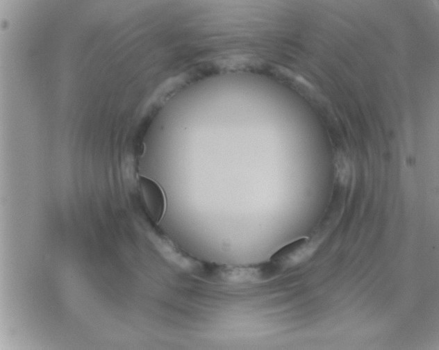 X0000071380670200607142112