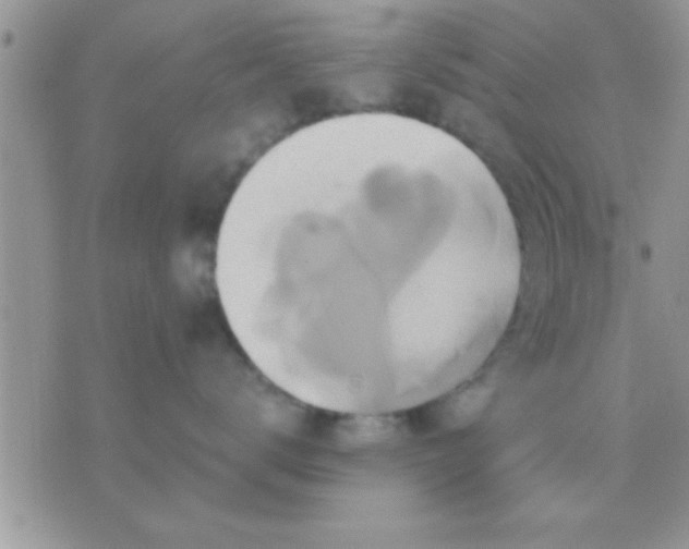 X0000071380672200607142112