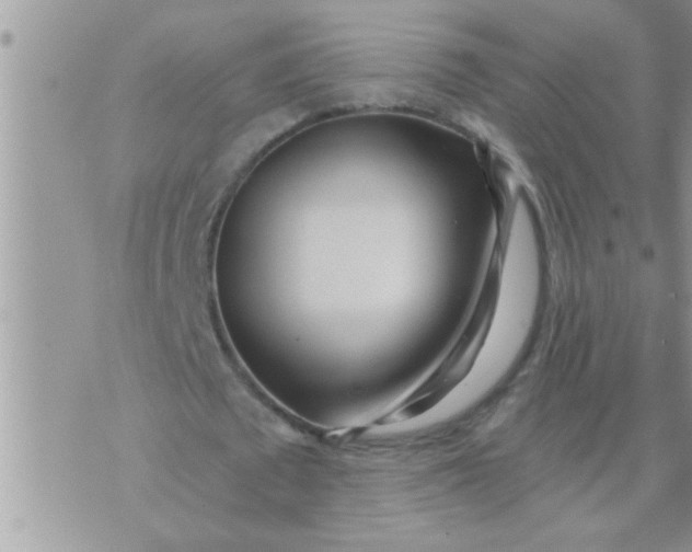 X0000071380673200607142111