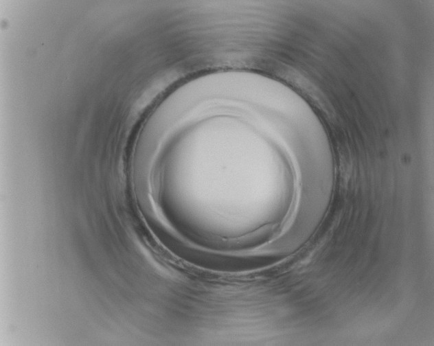 X0000071380674200607142111