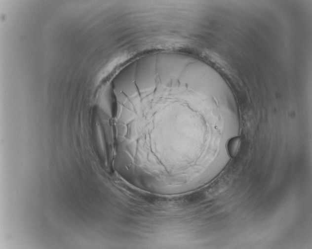 X0000071380679200607142111