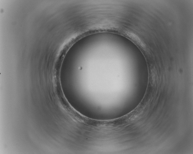 X0000071380680200607142111