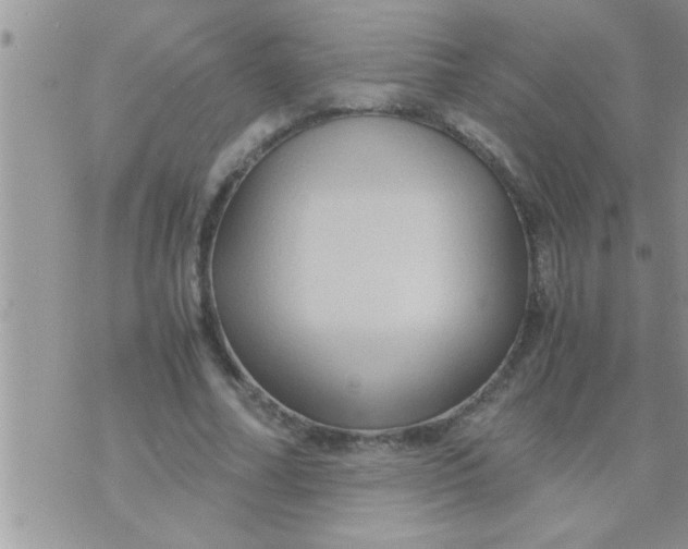 X0000071380682200607142111