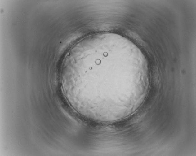 X0000071380683200607142111