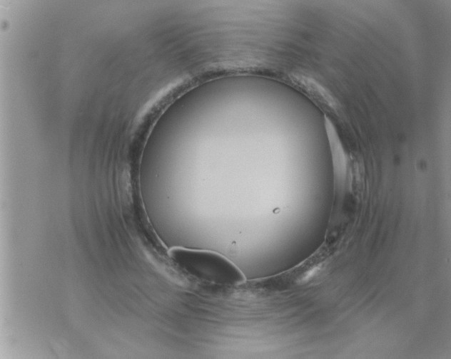 X0000071380684200607142111