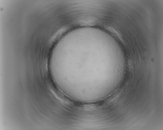 X0000071380686200607142111