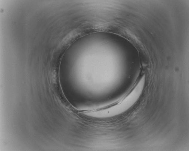 X0000071380689200607142111