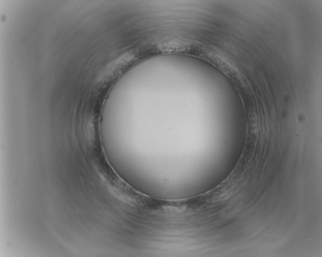 X0000071380690200607142111