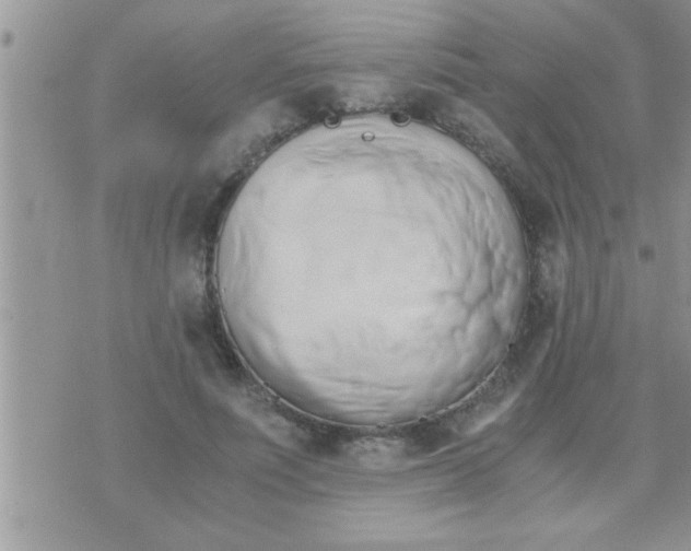 X0000071380691200607142111