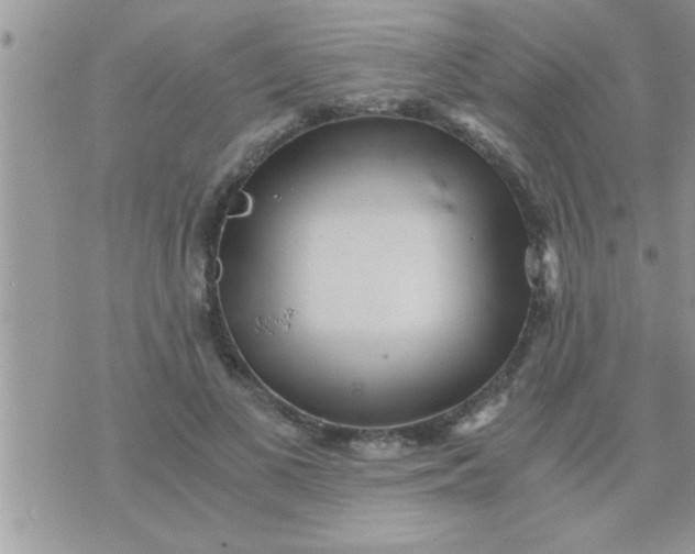 X0000071380693200607142111