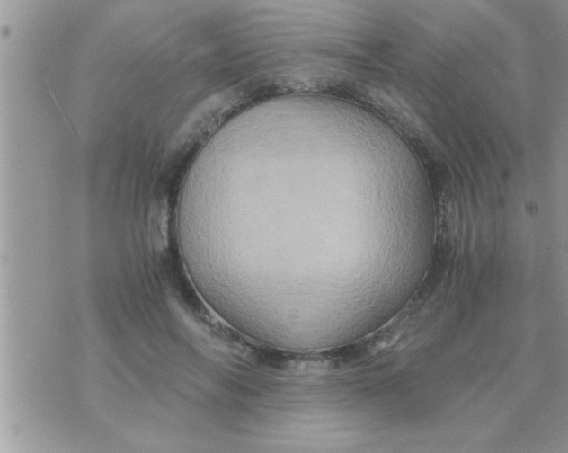 X0000071380694200607142111