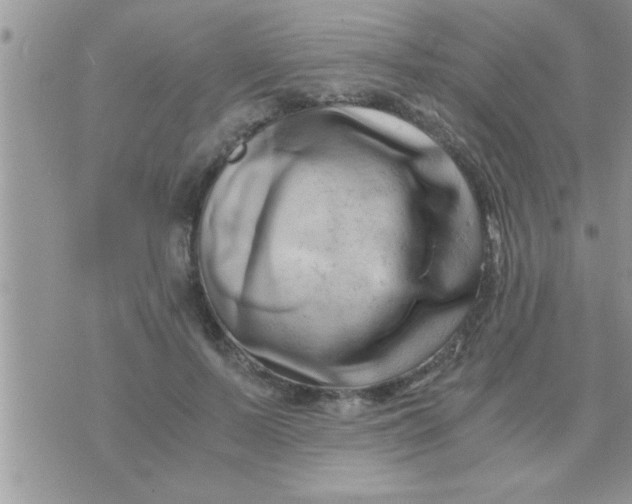 X0000071380695200607142111