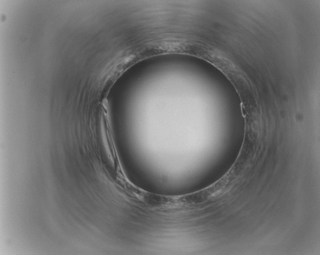 X0000071380696200607142111