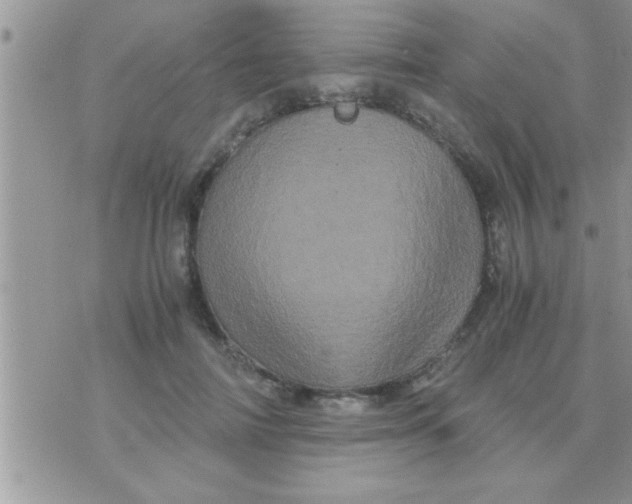 X0000071380698200607142111