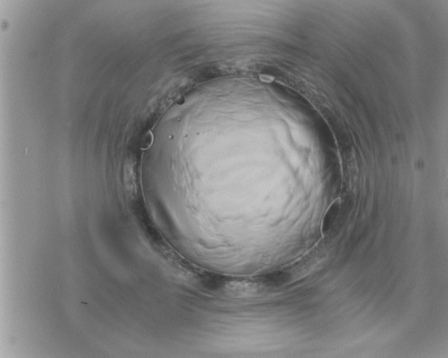 X0000071380699200607142111