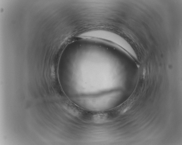 X0000071380700200607142111