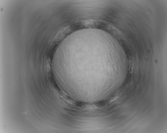 X0000071380702200607142111