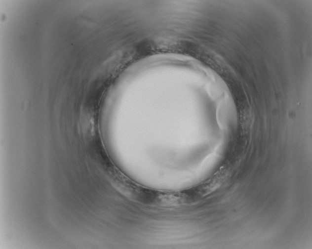 X0000071380703200607142111