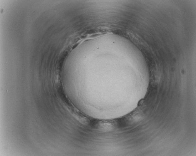 X0000071380706200607142111