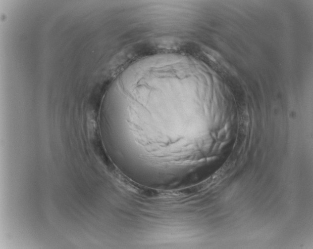 X0000071380707200607142110