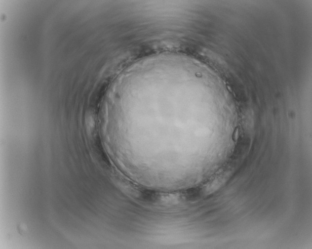 X0000071380709200607142110