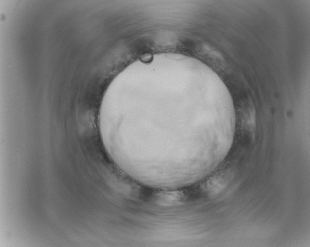 X0000071380711200607142110