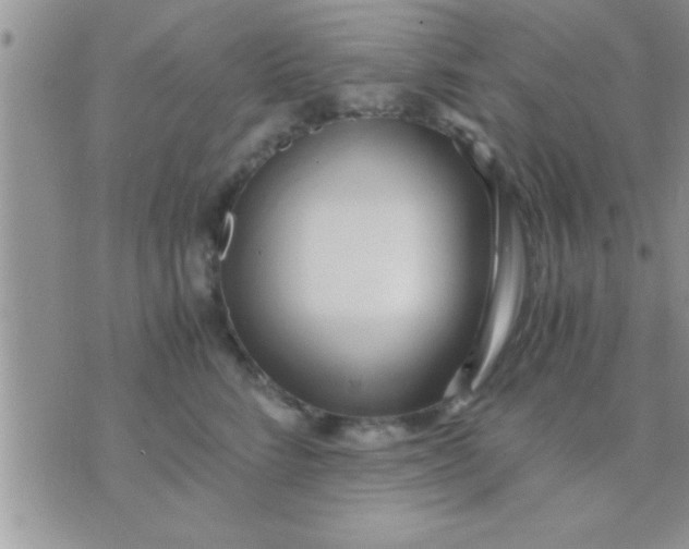 X0000071380712200607142110