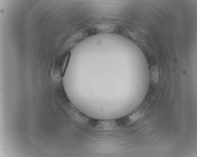 X0000071380713200607142110