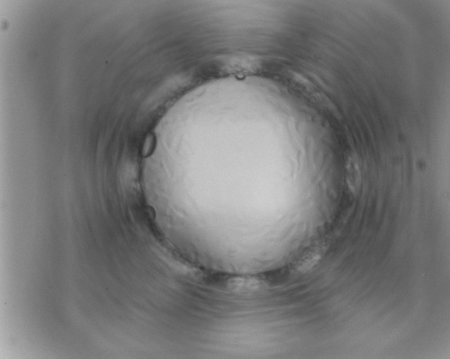 X0000071380714200607142110