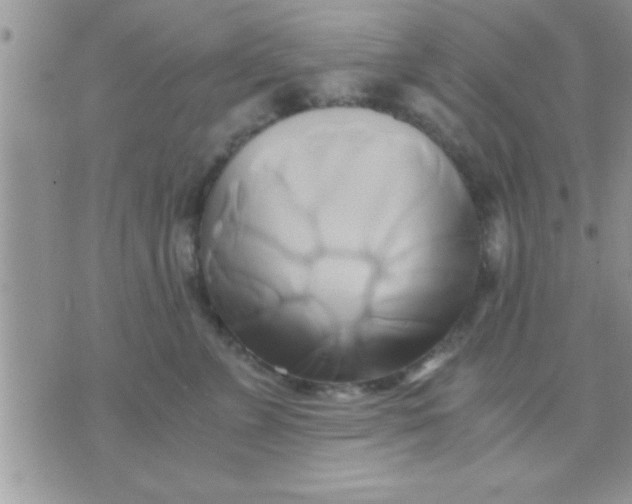 X0000071380715200607142110