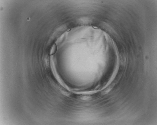 X0000071380718200607142110