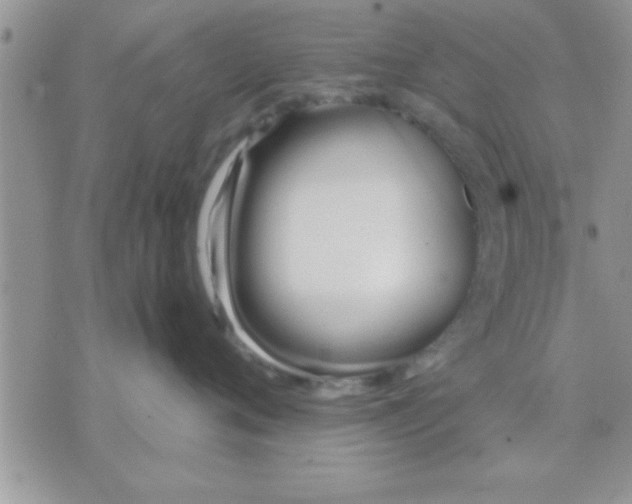 X0000071380720200607142110