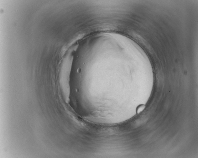 X0000071380721200607142109