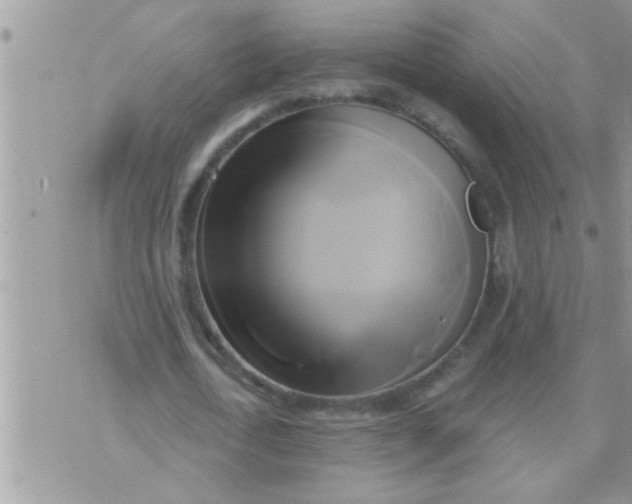 X0000071380722200607142110