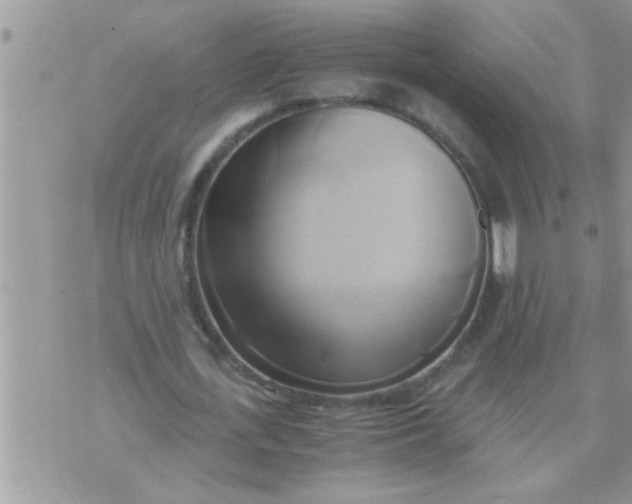 X0000071380723200607142110