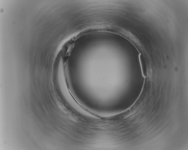 X0000071380724200607142110