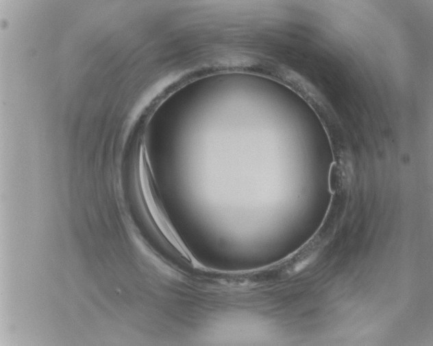 X0000071380726200607142110