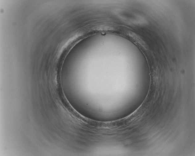 X0000071380727200607142110