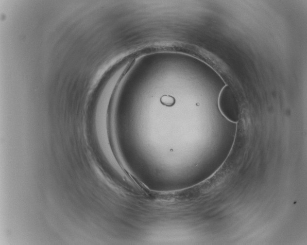 X0000071380728200607142110