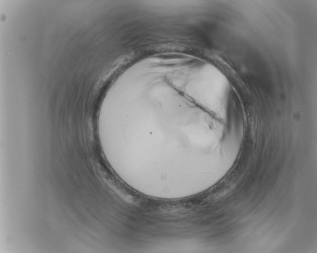 X0000071380729200607142110