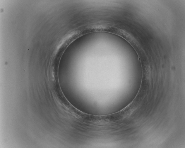 X0000071380731200607142110