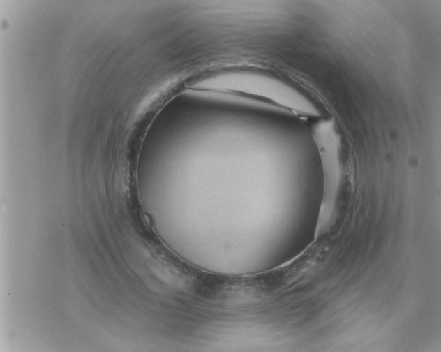 X0000071380732200607142110