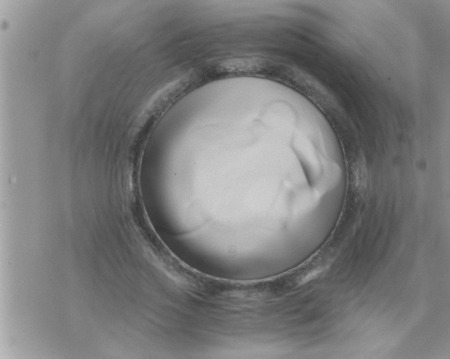 X0000071380733200607142110