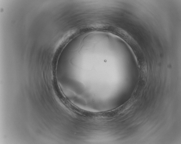 X0000071380734200607142110