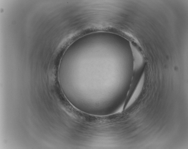 X0000071380736200607142110