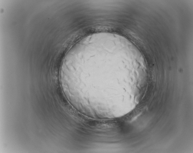 X0000071380737200607142110