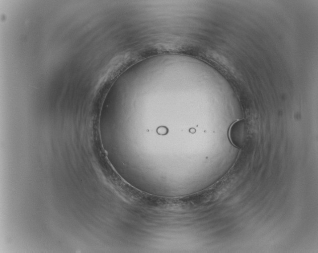 X0000071380738200607142110